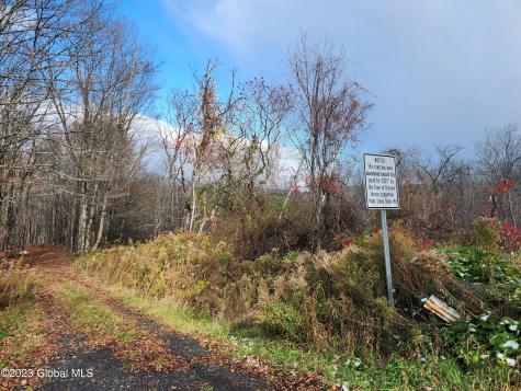 172 Mace Hill Road Middleburgh NY 12122