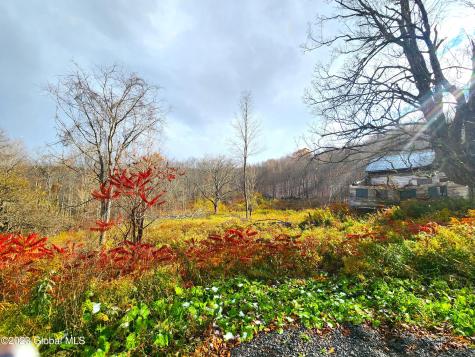 172 Mace Hill Road Middleburgh NY 12122