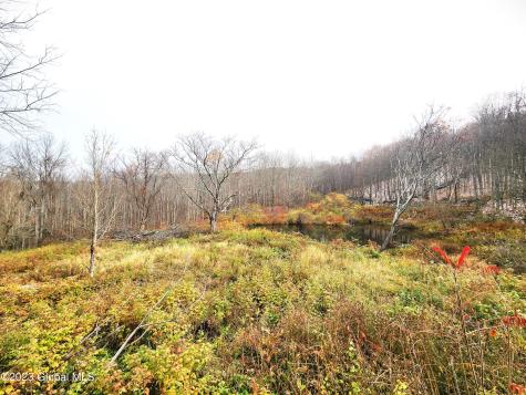 172 Mace Hill Road Middleburgh NY 12122