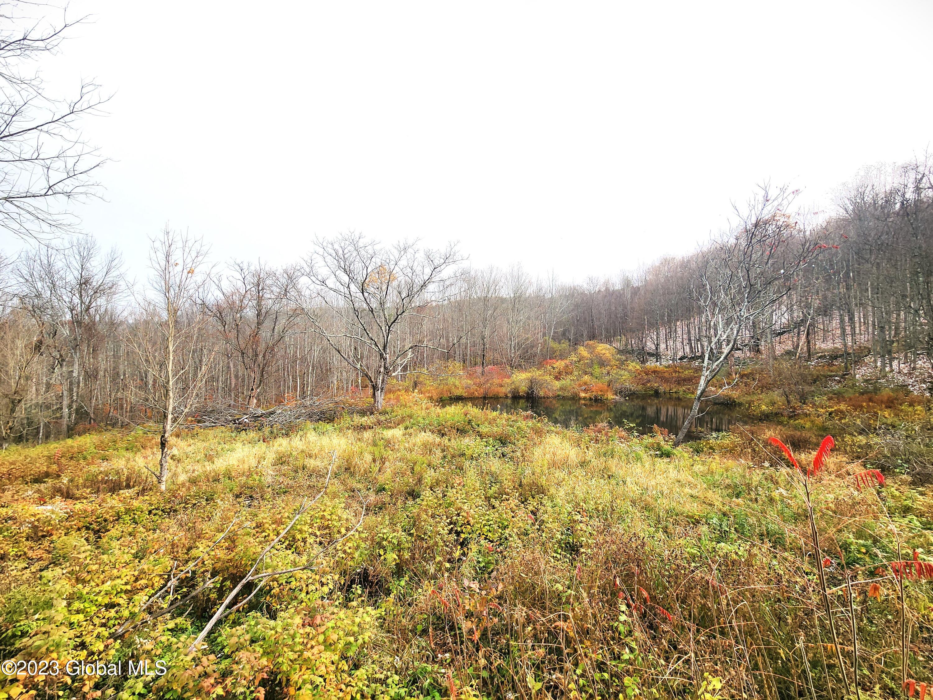 172 Mace Hill Road Middleburgh NY 12122