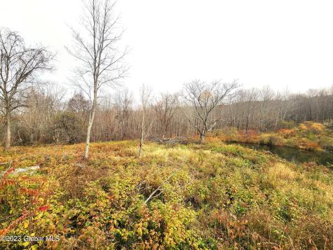 172 Mace Hill Road Middleburgh NY 12122