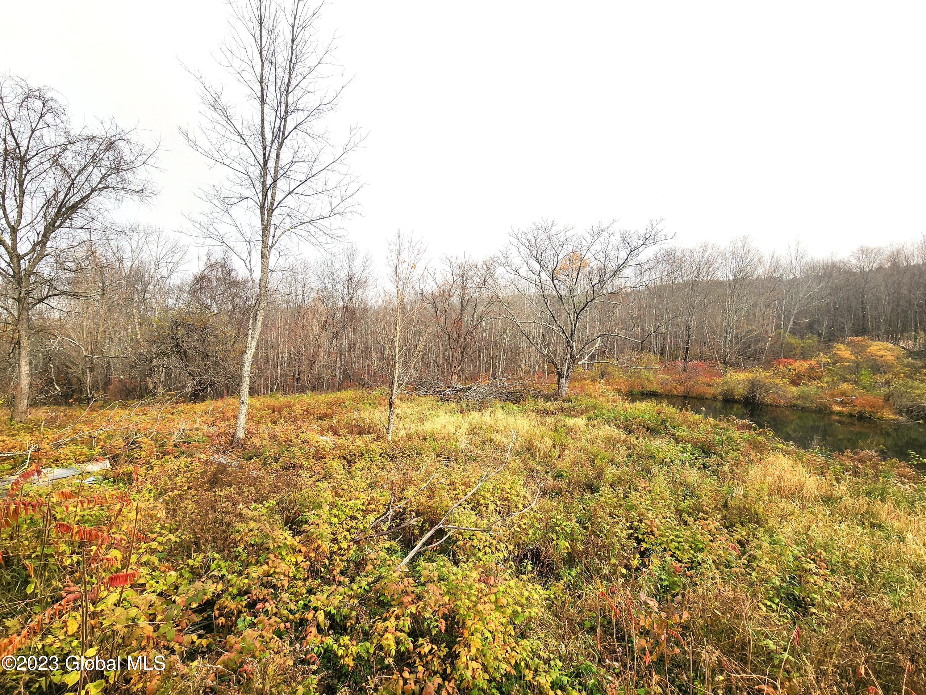 172 Mace Hill Road Middleburgh NY 12122