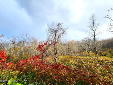 172 Mace Hill Road Middleburgh NY 12122