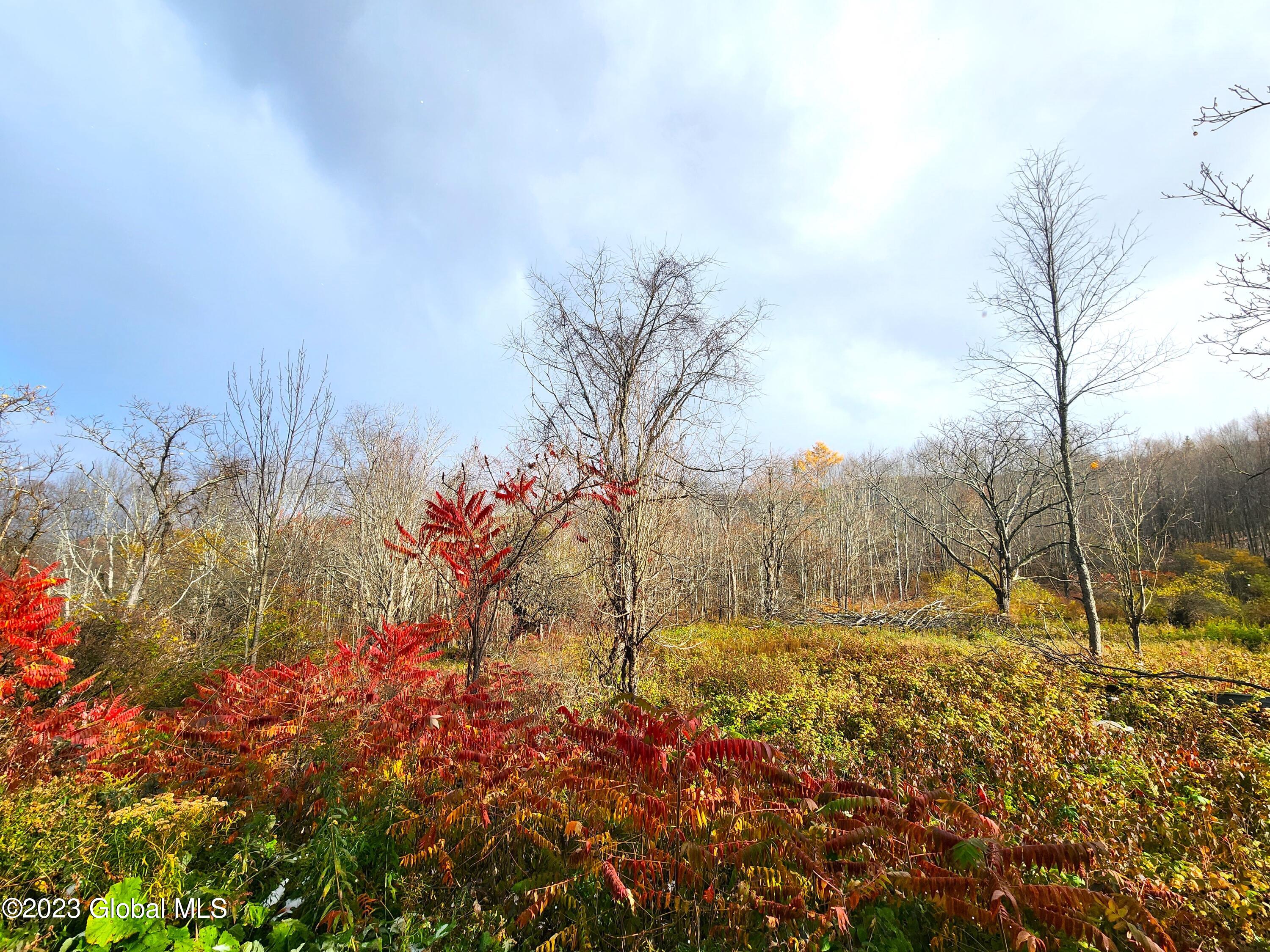 172 Mace Hill Road Middleburgh NY 12122