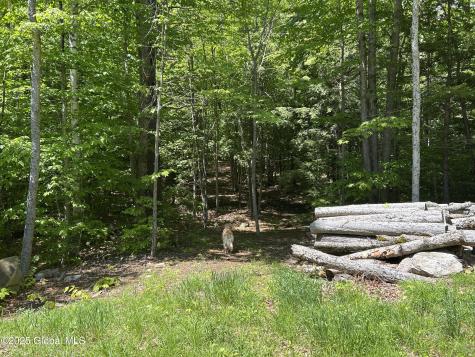 10 W Tucker Road Stoney Creek NY 12878