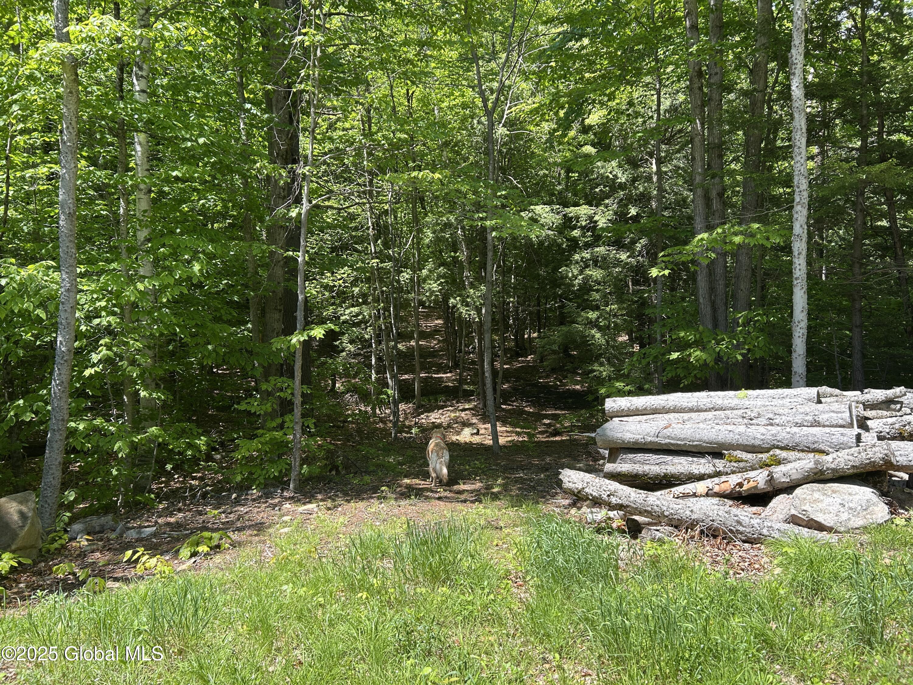 10 W Tucker Road Stoney Creek NY 12878
