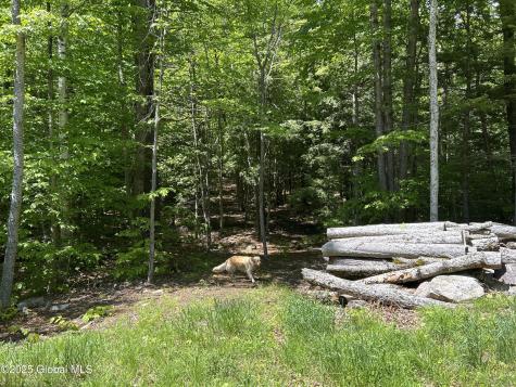 10 W Tucker Road Stoney Creek NY 12878