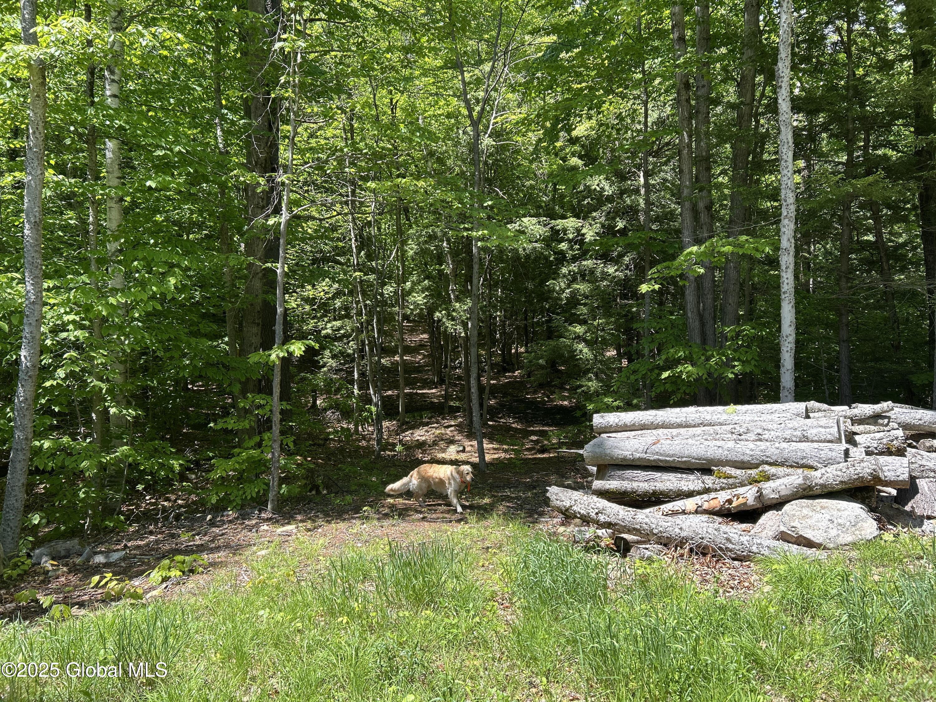 10 W Tucker Road Stoney Creek NY 12878