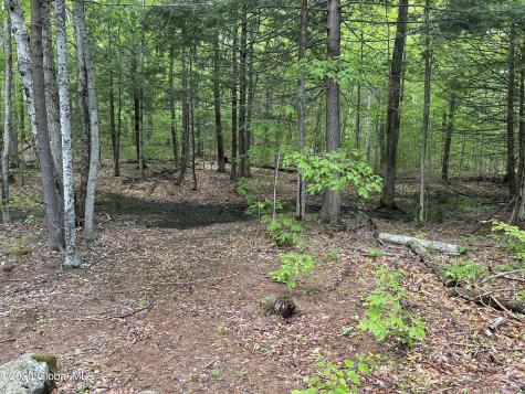10 W Tucker Road Stoney Creek NY 12878