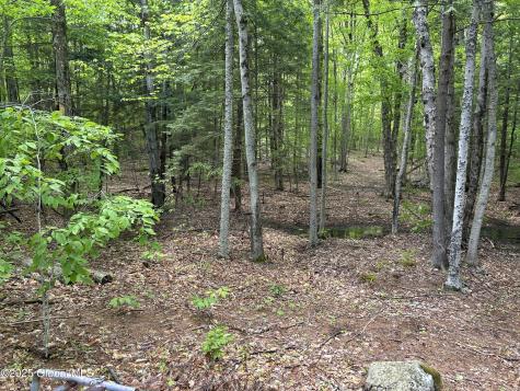 10 W Tucker Road Stoney Creek NY 12878