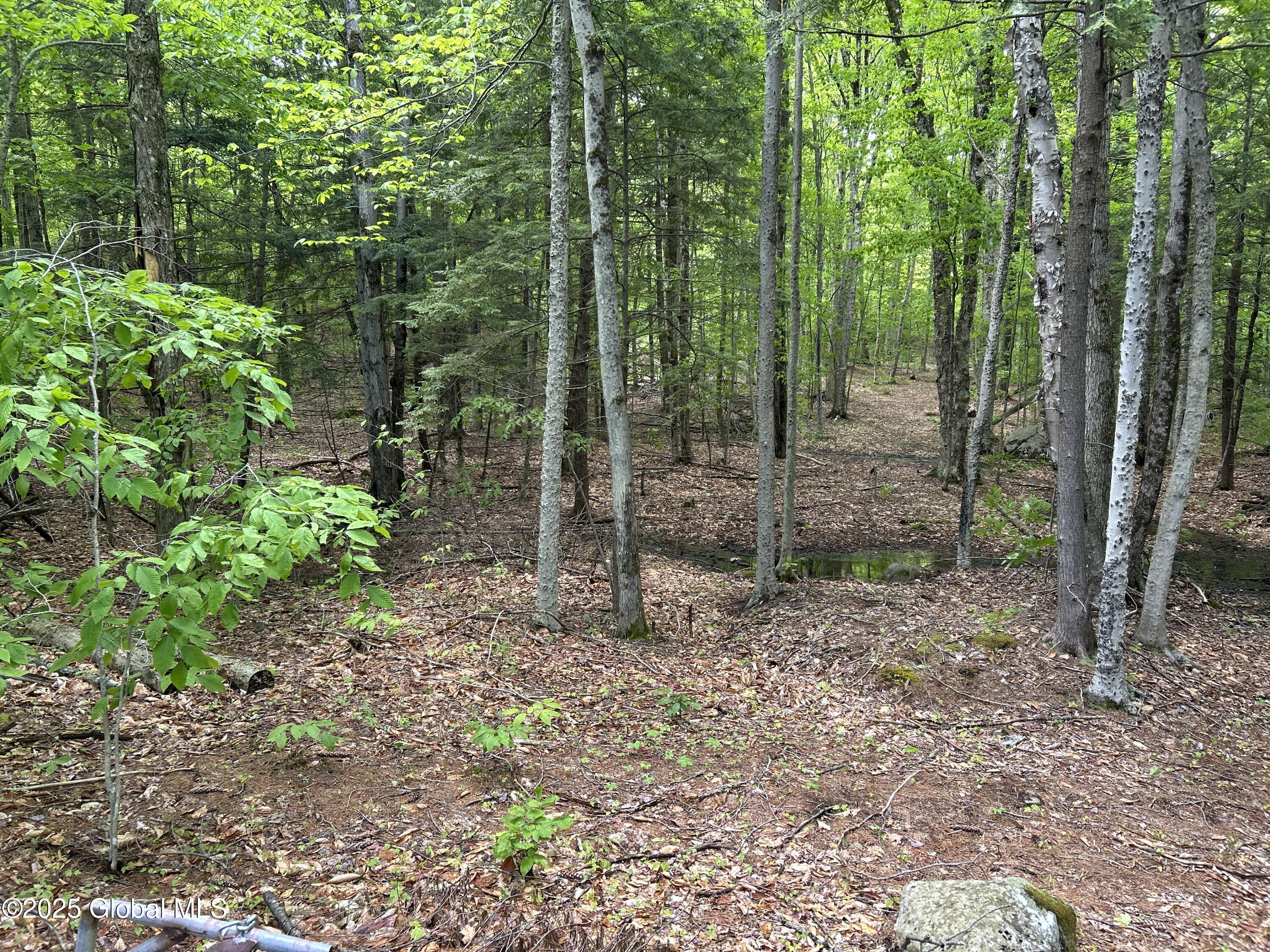 10 W Tucker Road Stoney Creek NY 12878