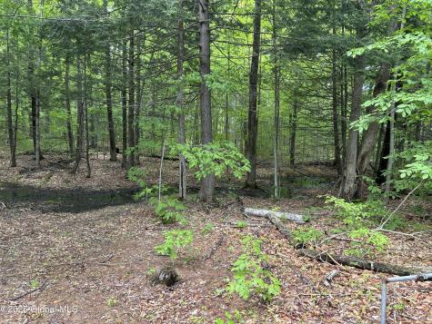 10 W Tucker Road Stoney Creek NY 12878