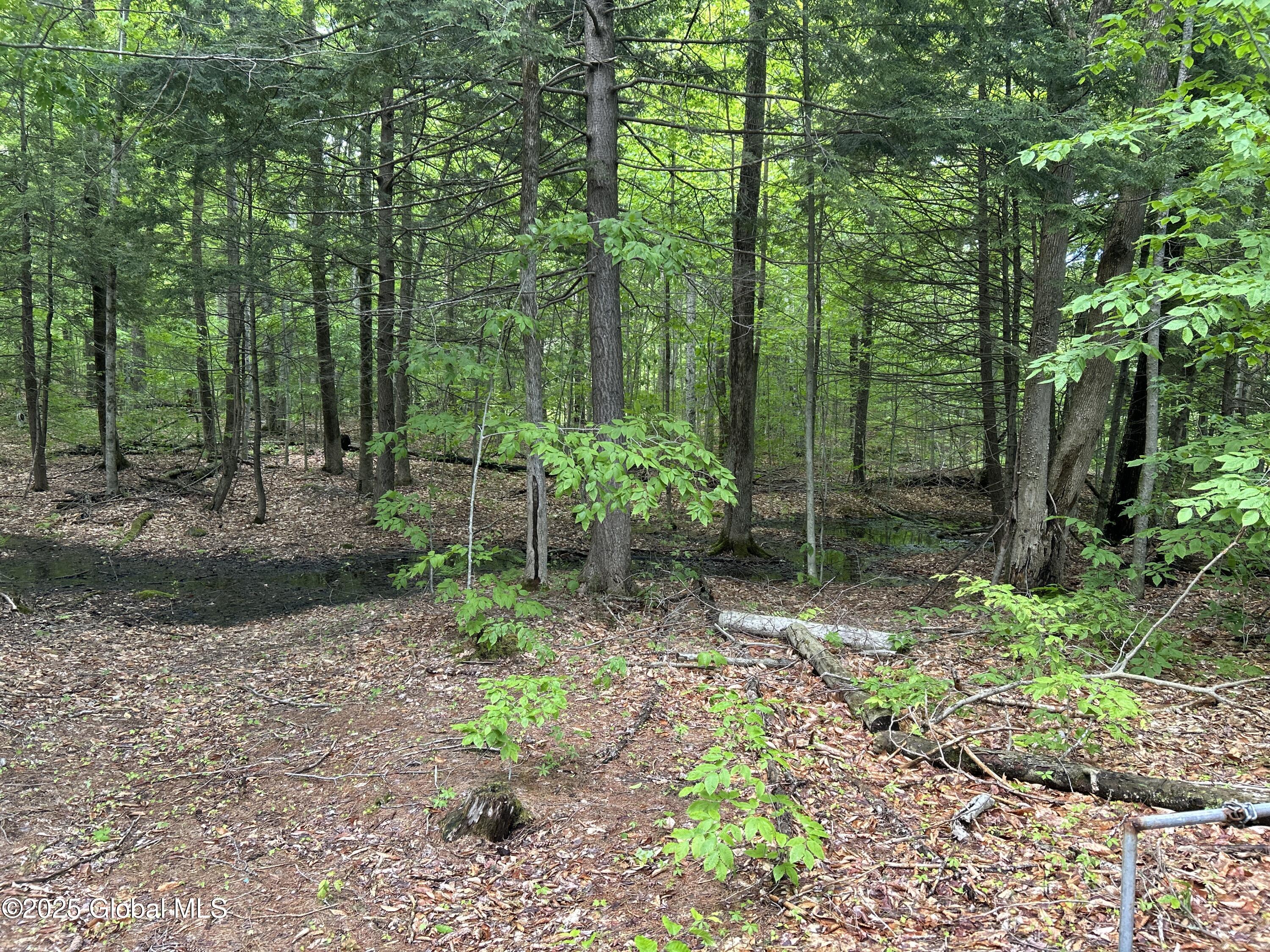 10 W Tucker Road Stoney Creek NY 12878