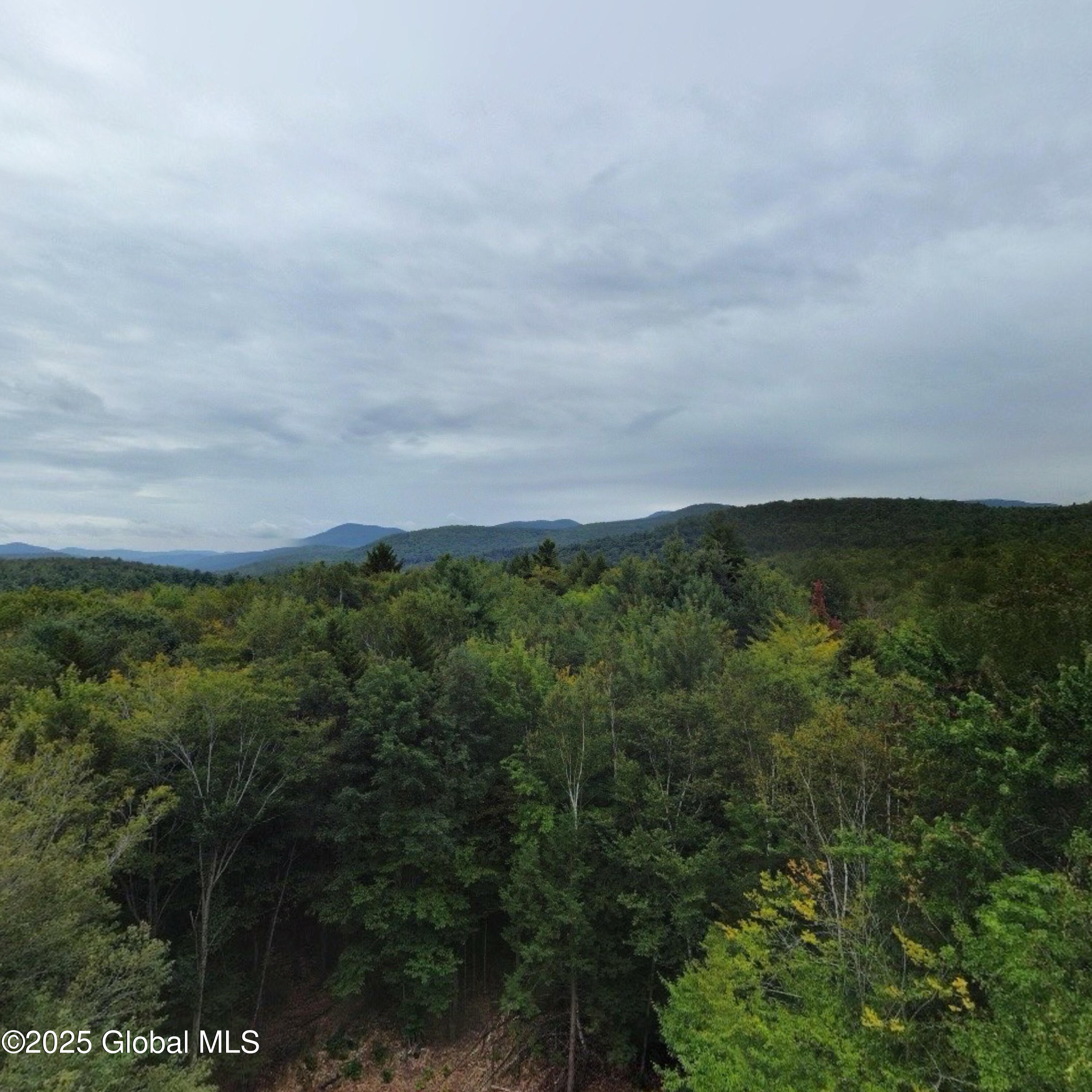 10 W Tucker Road Stoney Creek NY 12878