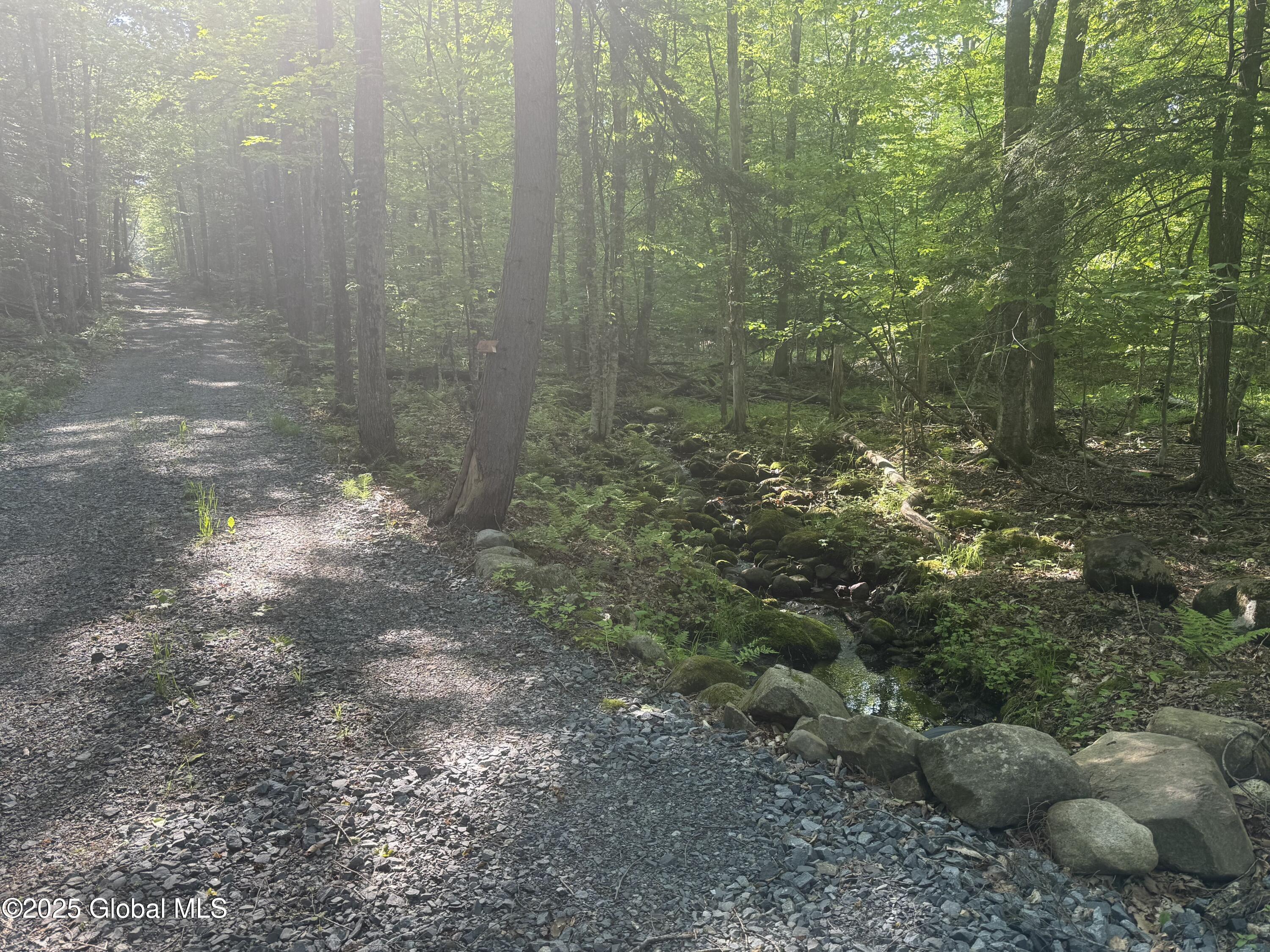 10 W Tucker Road Stoney Creek NY 12878