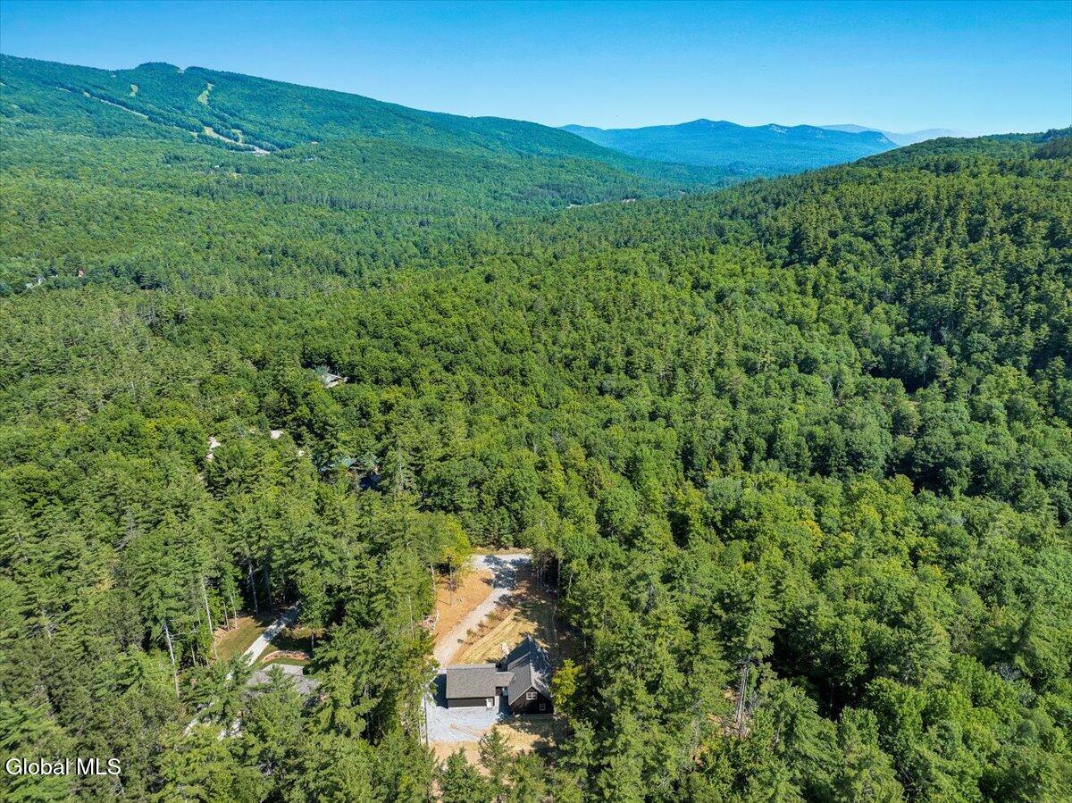 106 Mountain Path North Creek NY 12853