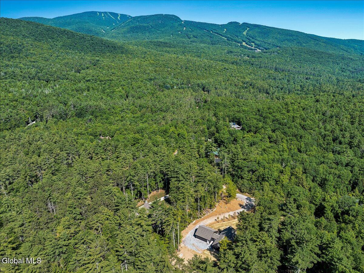 106 Mountain Path North Creek NY 12853