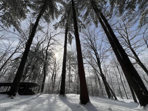 36 Hoffman Road Saratoga Springs NY 12866