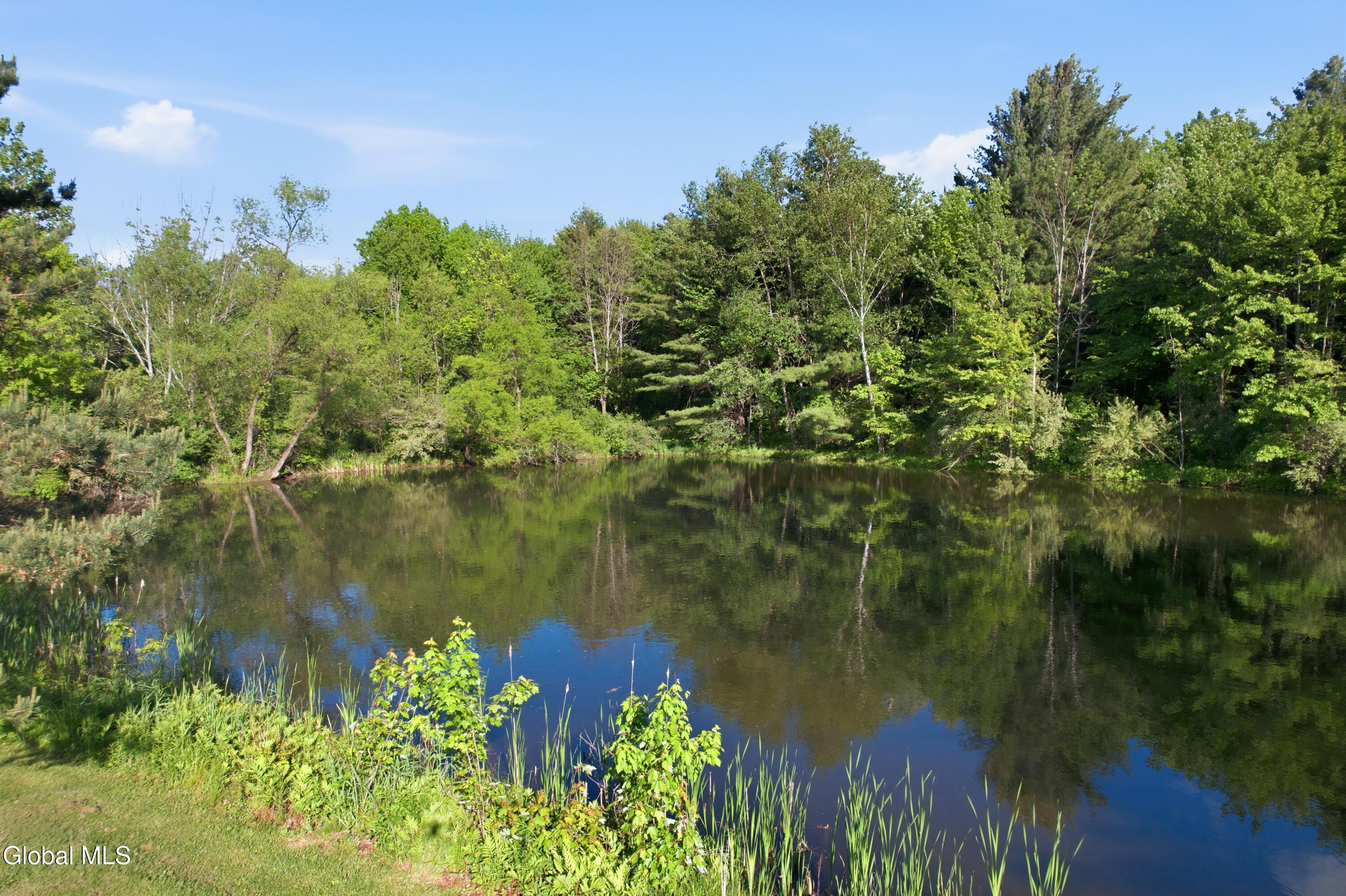 554 Mott Road Duanesburg NY 12056