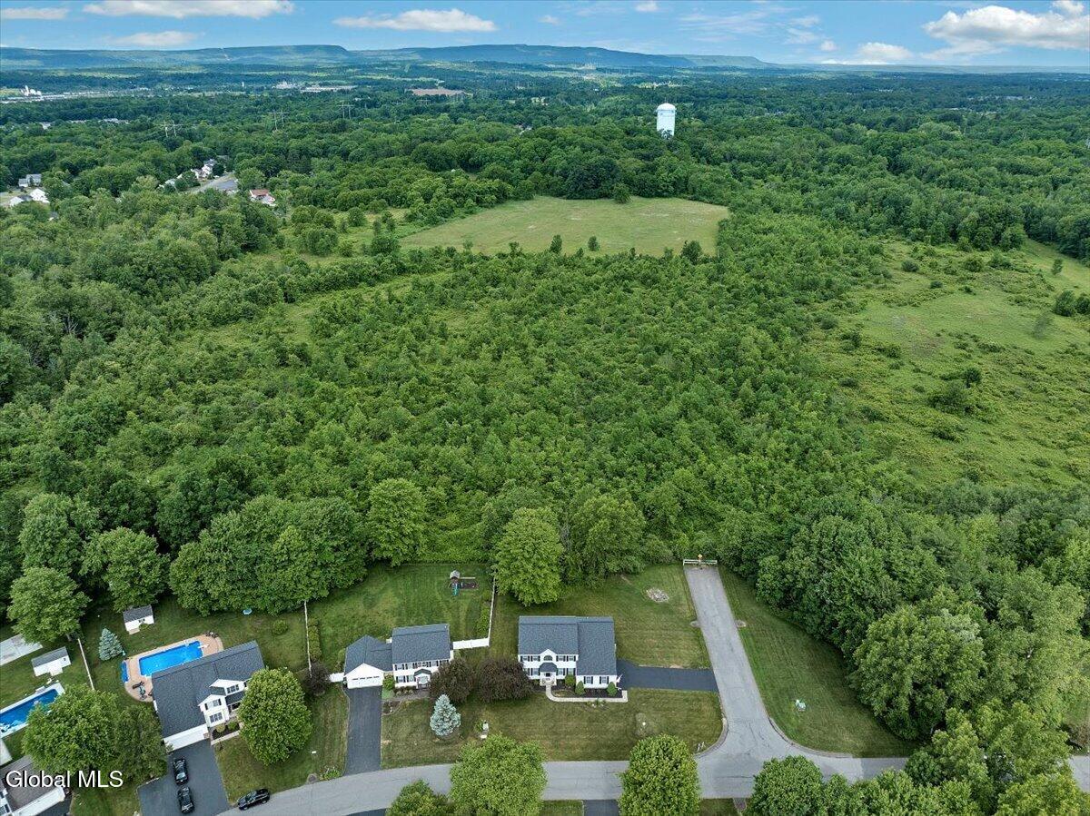 31 Ivywood Drive Selkirk NY 12158