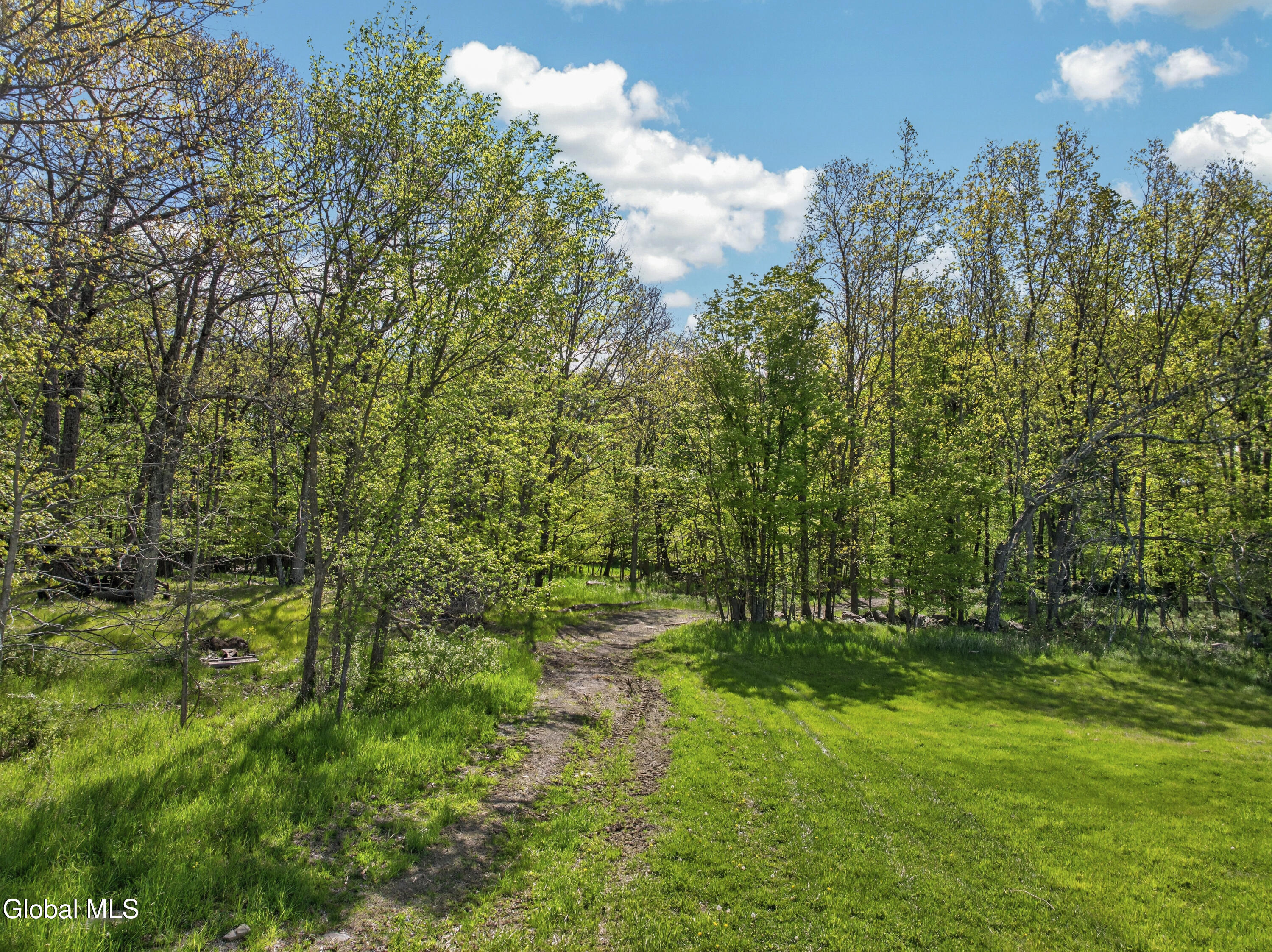 4450 Route 81 Greenville NY 12083
