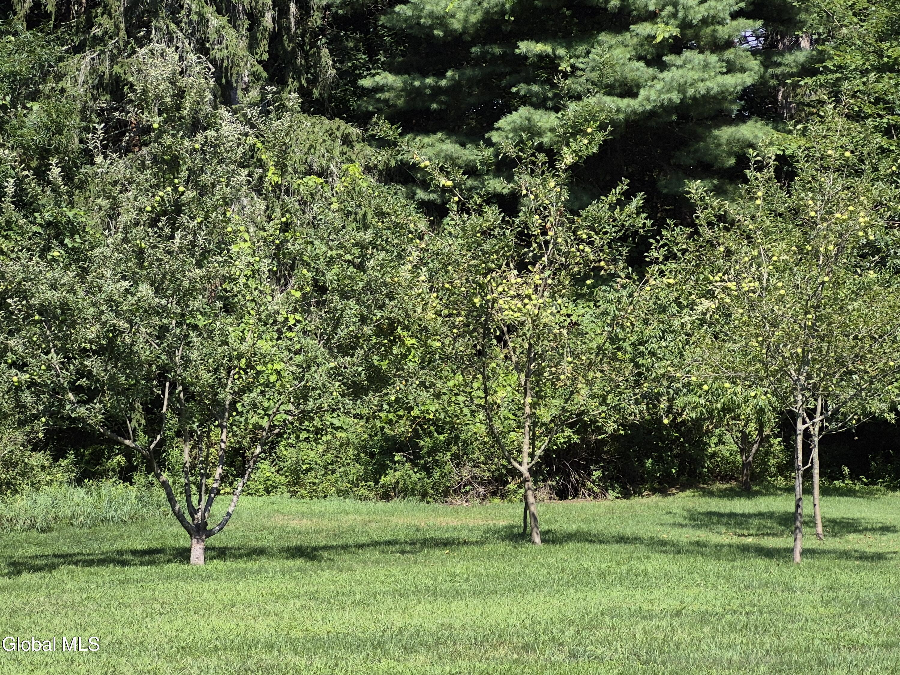450 Wilton Gansevoort Road Gansevoort NY 12831
