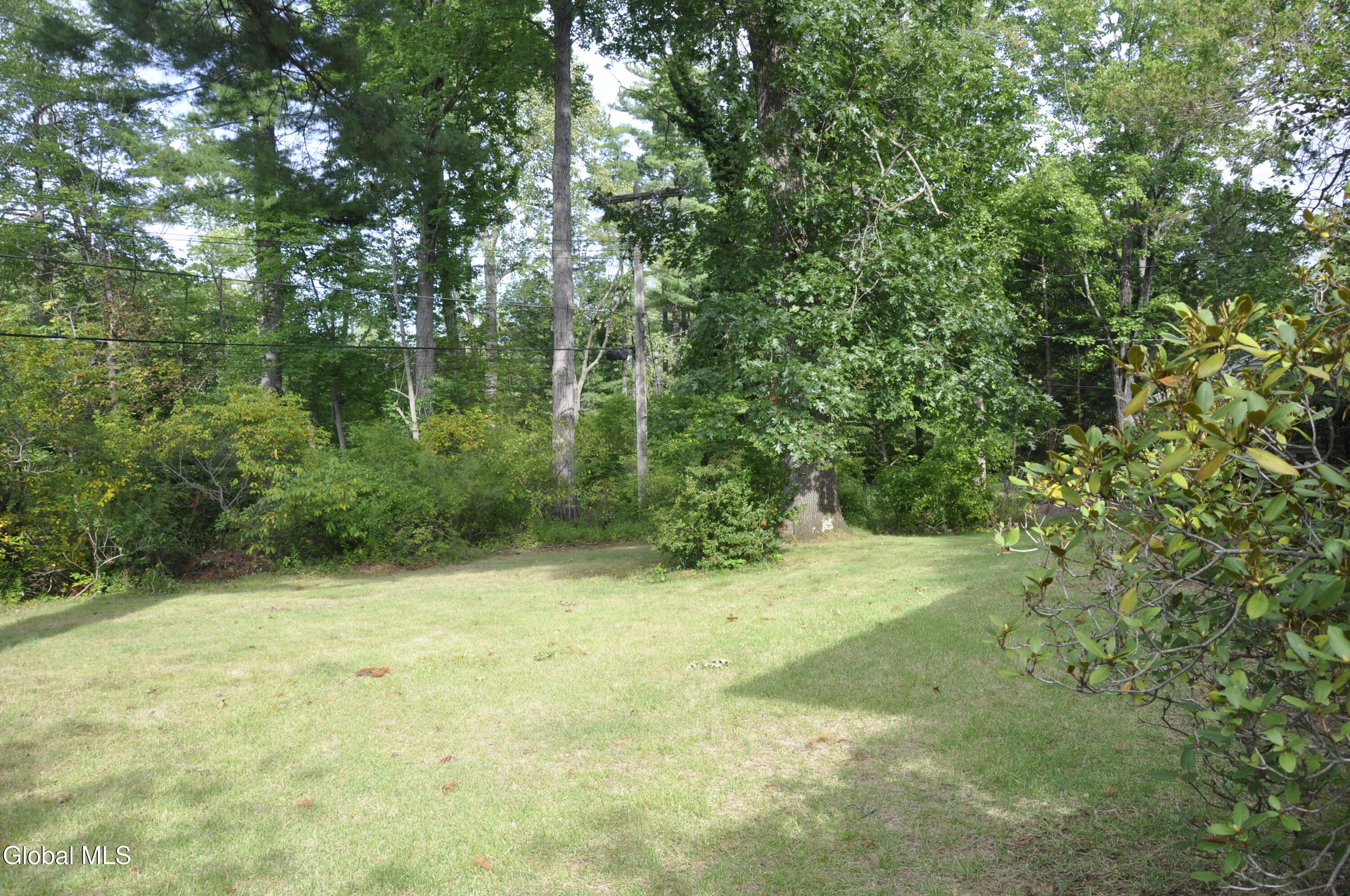 39 Wellington Delmar NY 12054