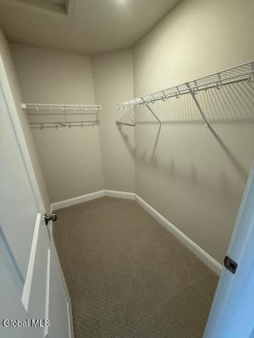 5995 State Farm Road Guilderland NY 12084