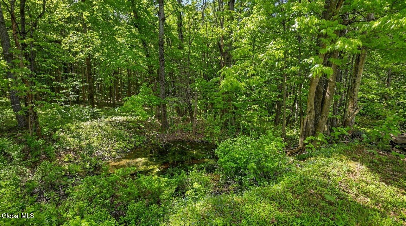 788 Teed Road Walton NY 13856