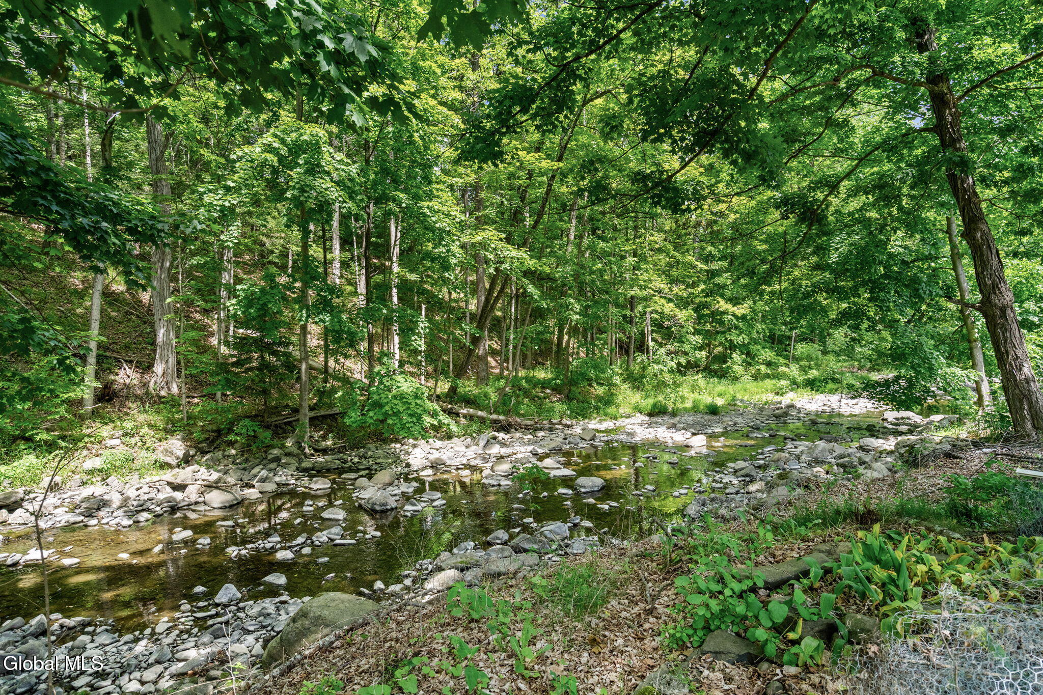 1166 Ny-143 Coeymans Hollow NY 12046