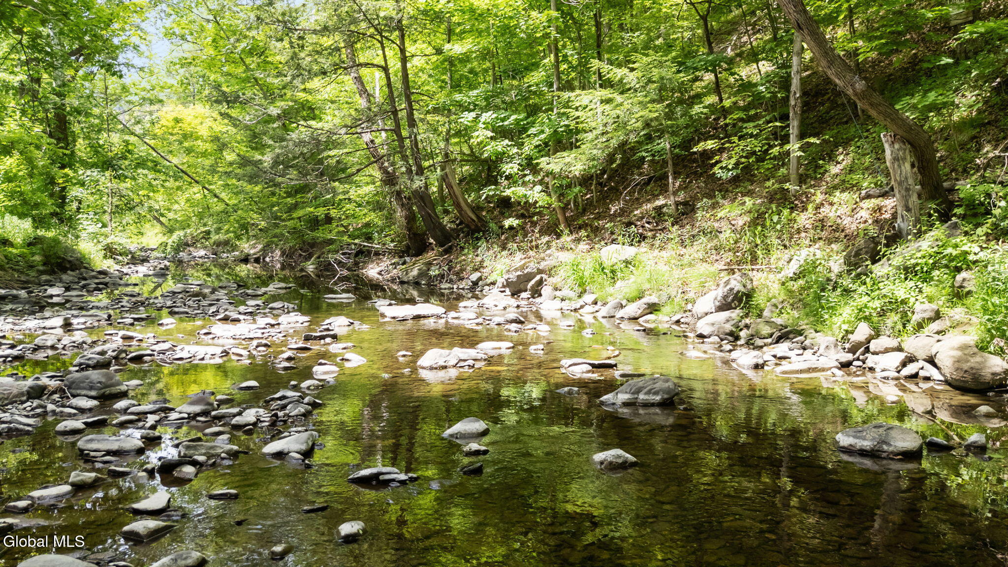 1166 Ny-143 Coeymans Hollow NY 12046