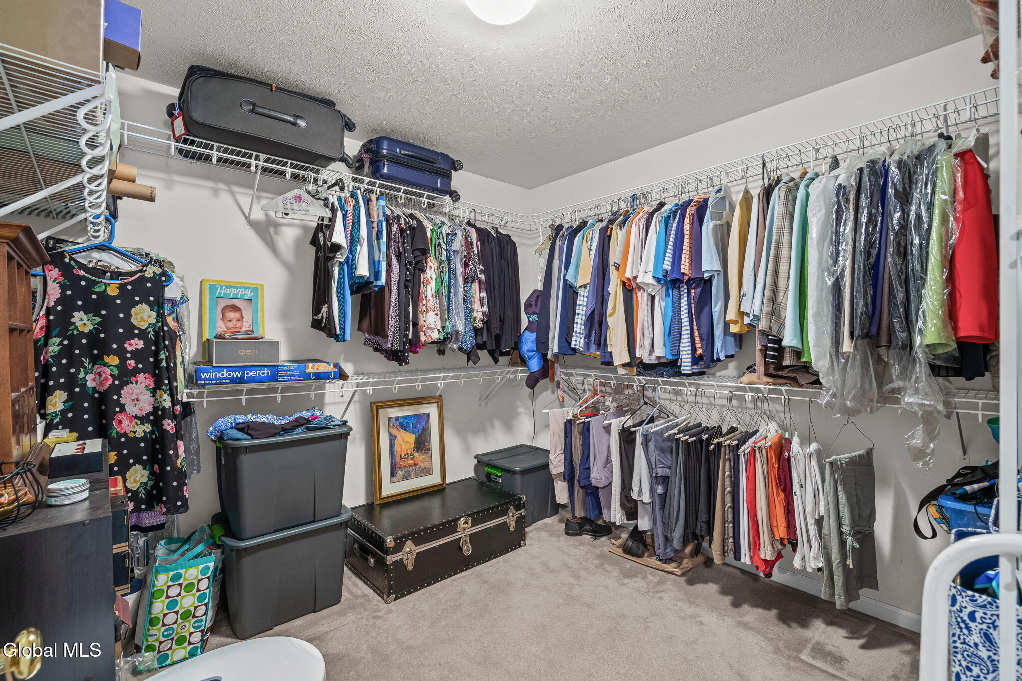 19 Nadler Road Clifton Park NY 12065