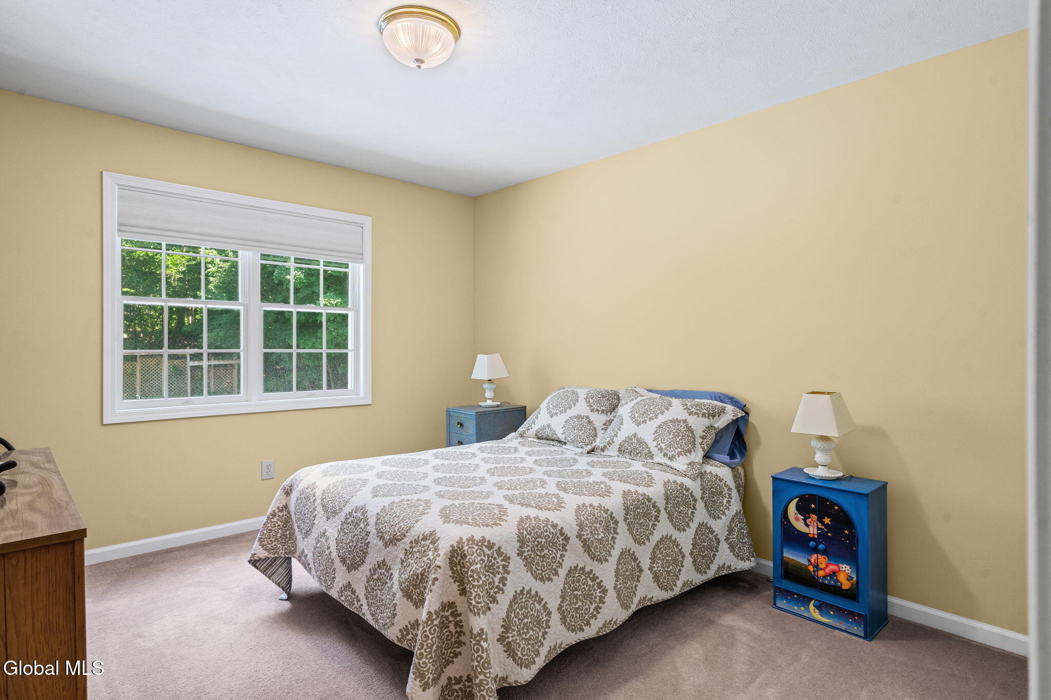 19 Nadler Road Clifton Park NY 12065