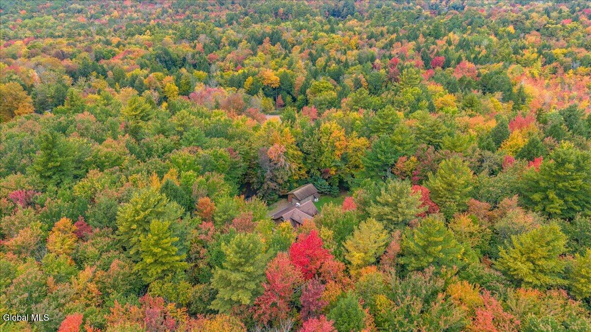 148 Steve Odell Road Cropseyville NY 12052