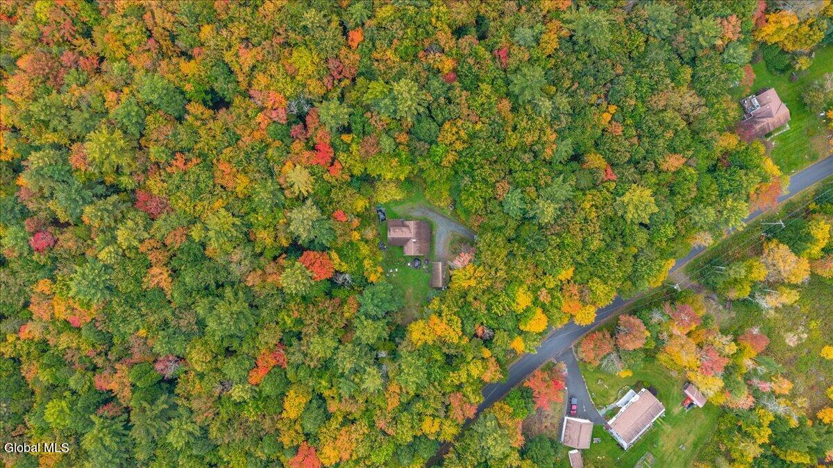 148 Steve Odell Road Cropseyville NY 12052