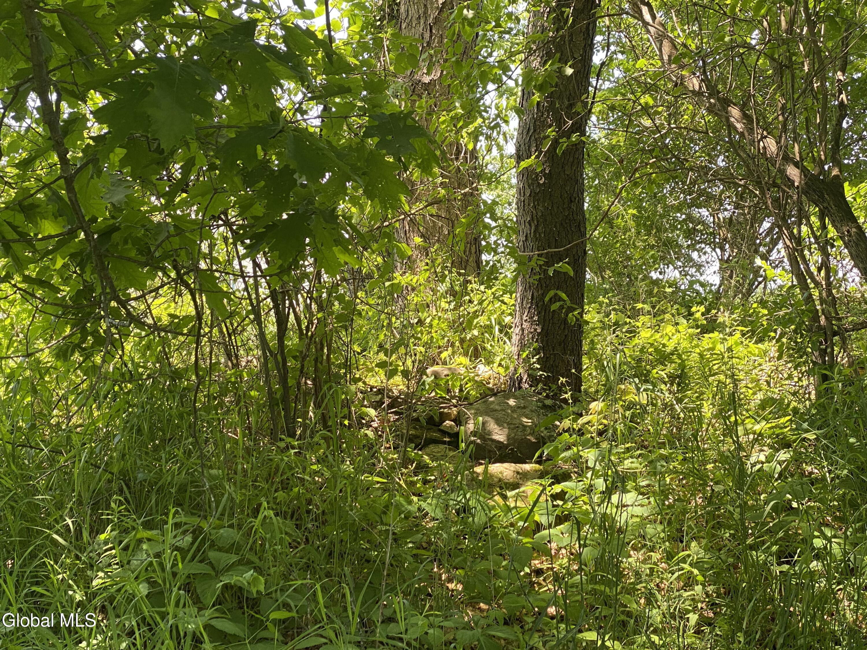 121 Quivey Hill Road Granville NY 12832