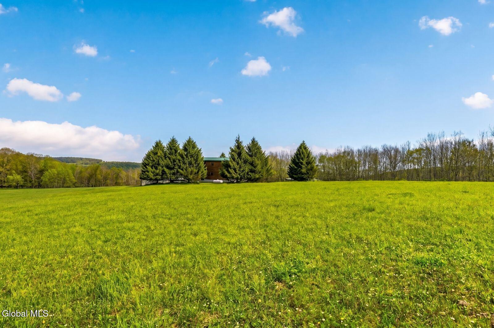 1721 County Highway 14 Hartwick NY 13810