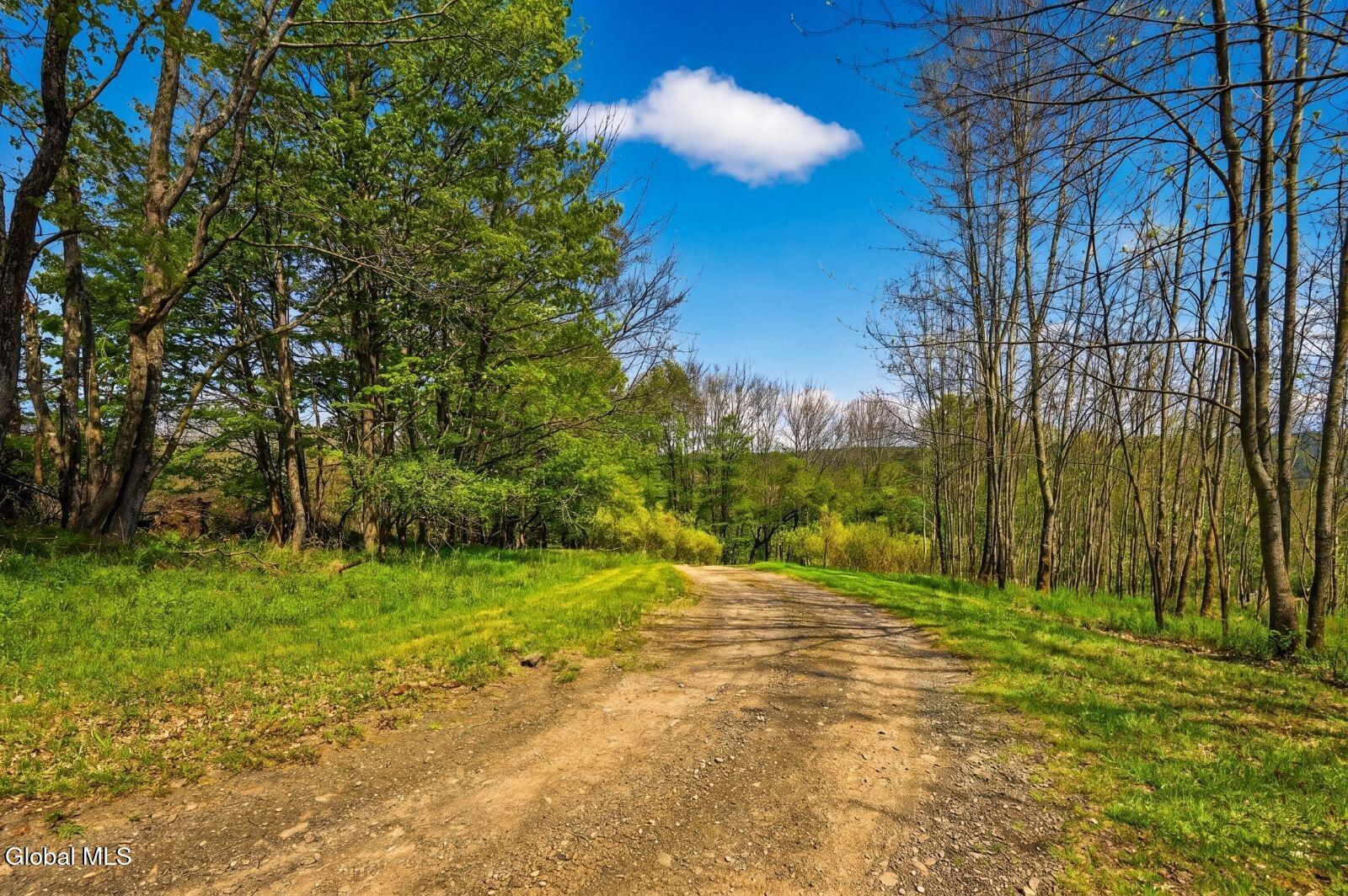 1721 County Highway 14 Hartwick NY 13810