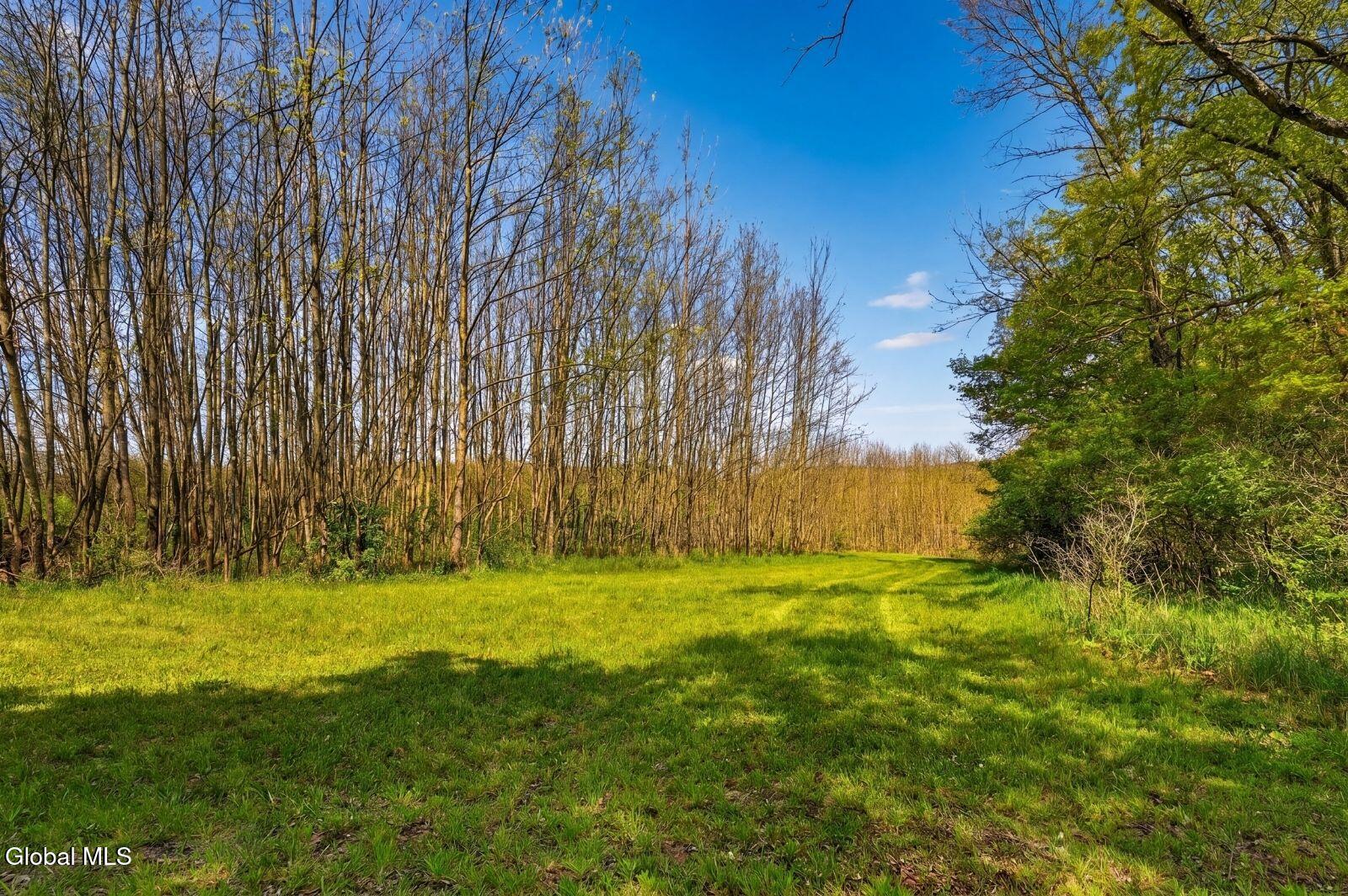 1721 County Highway 14 Hartwick NY 13810