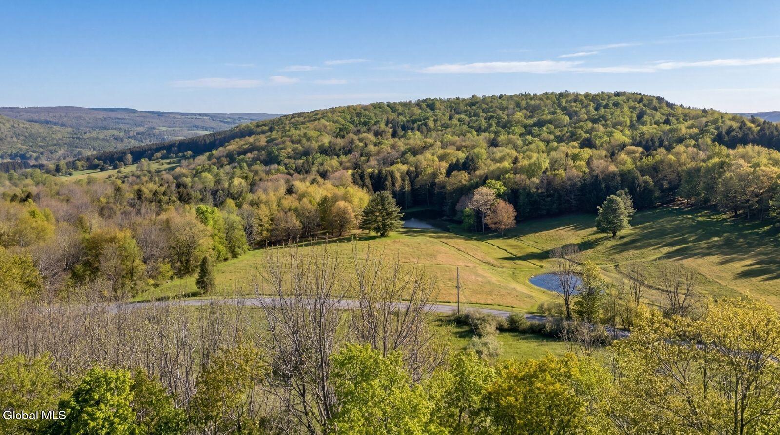 1721 County Highway 14 Hartwick NY 13810