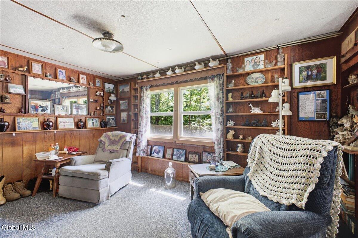 106 Jims Hill Road Lake Pleasant NY 12108