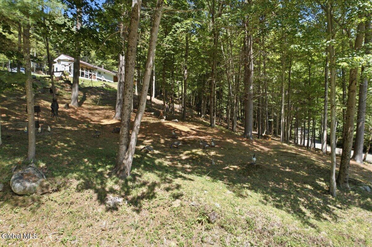 106 Jims Hill Road Lake Pleasant NY 12108
