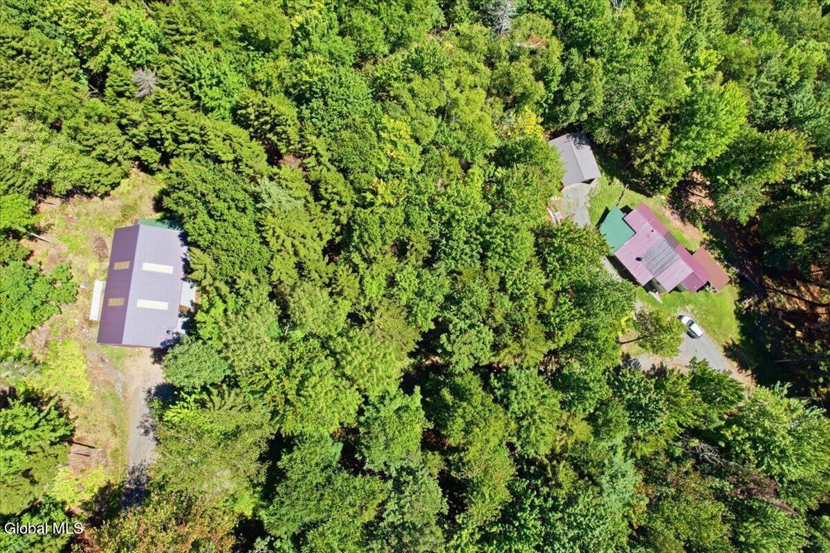 106 Jims Hill Road Lake Pleasant NY 12108