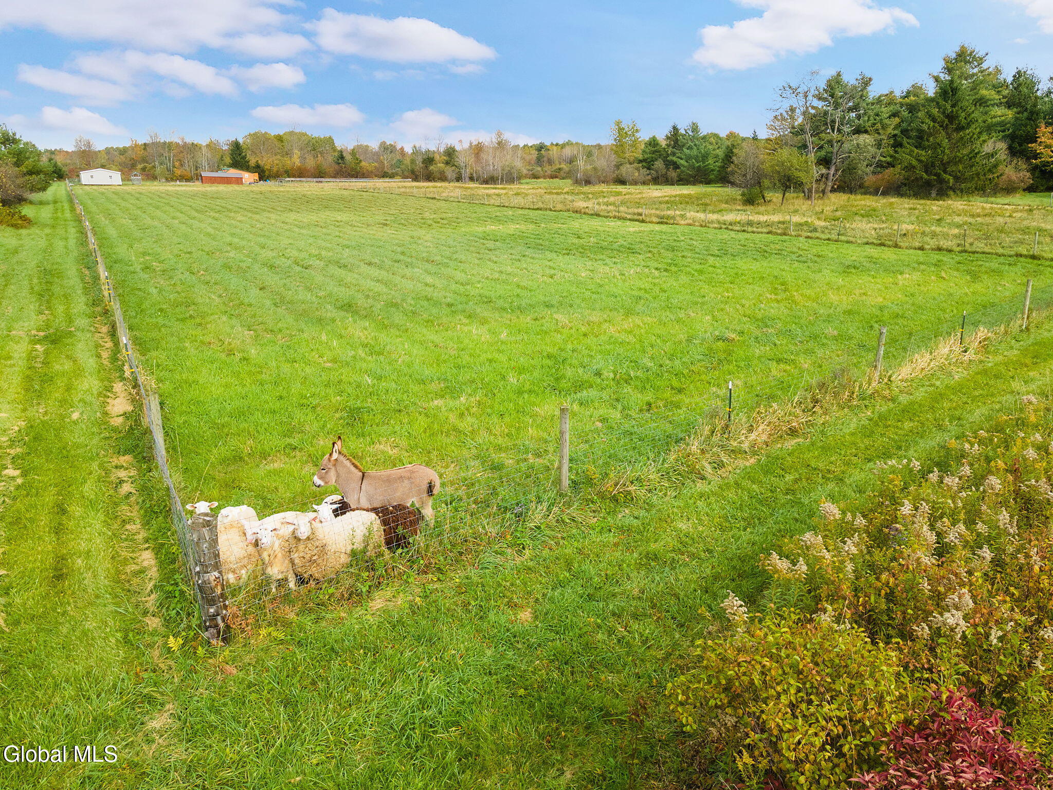 311 Corbin Hill Road Sprakers NY 12166