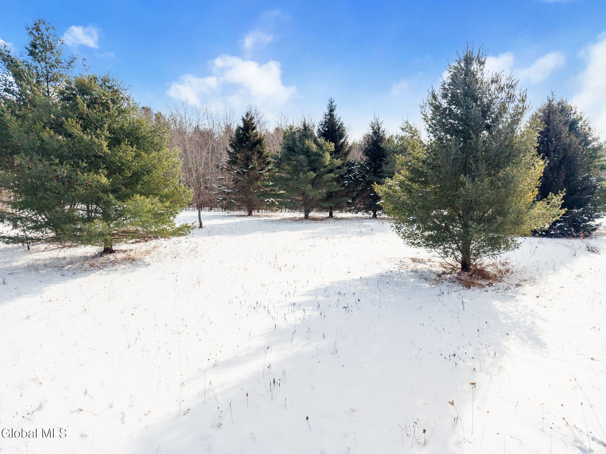 311 Corbin Hill Road Sprakers NY 12166