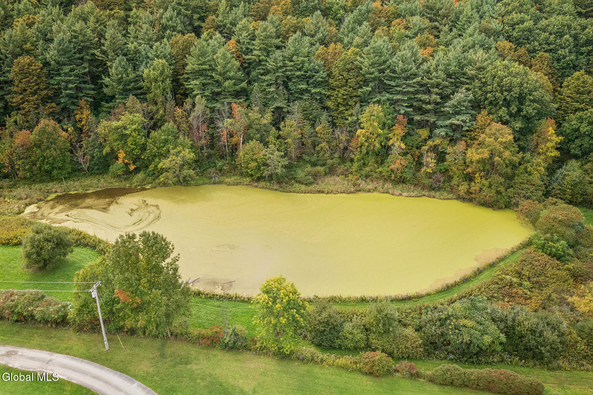 157 Neville Road Seward NY 12043