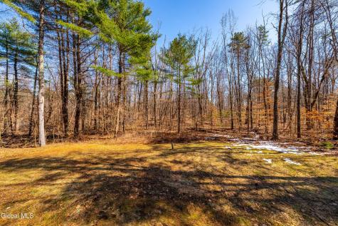 4 Wallingford Court Gansevoort NY 12831