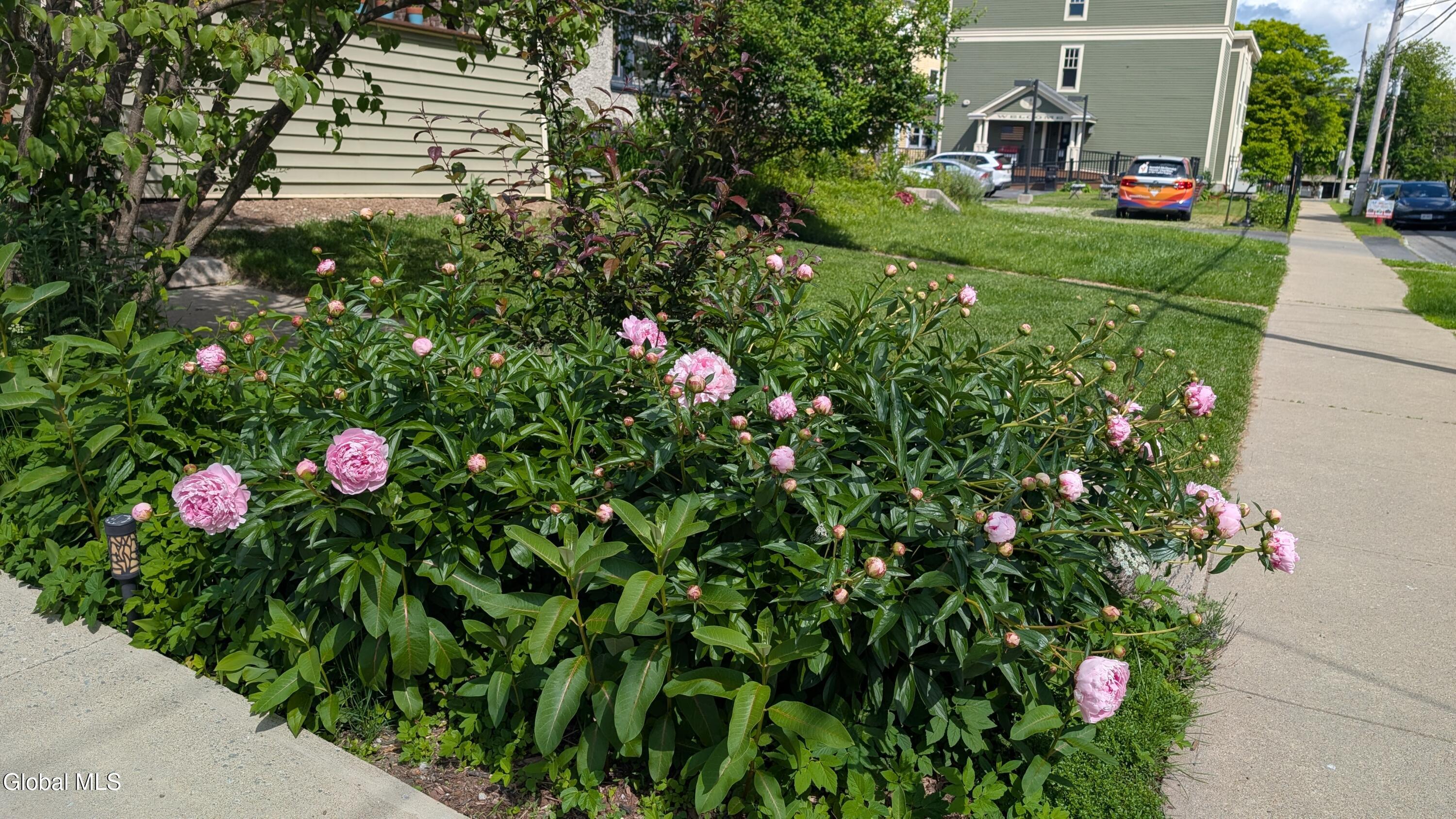 521 Mercer Street Albany NY 12208