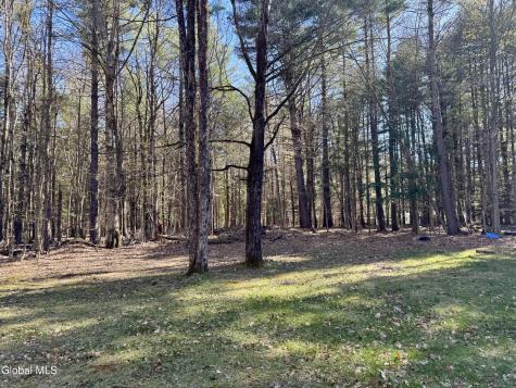 203 Wells Road Porter Corners NY 12859