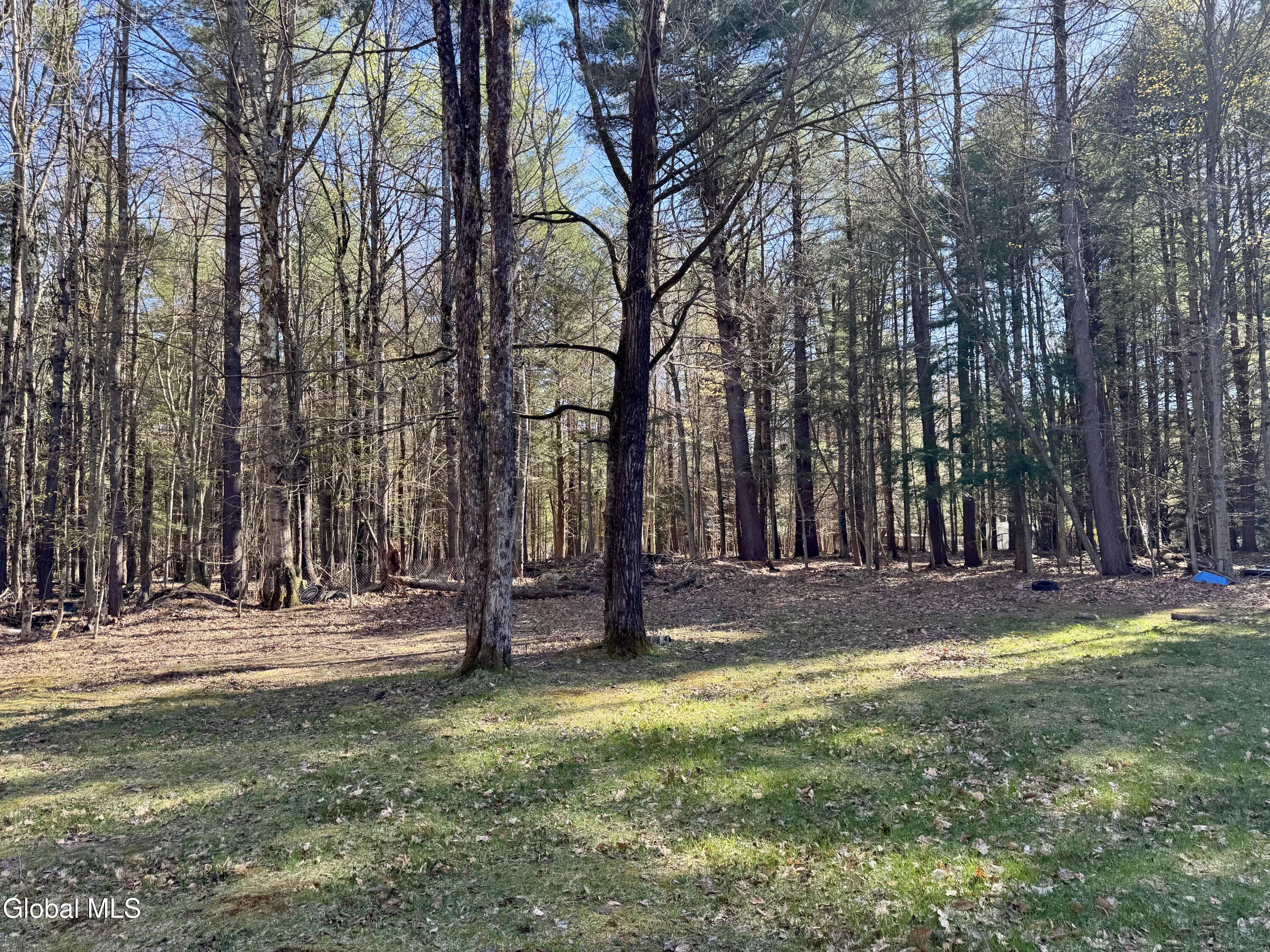 203 Wells Road Porter Corners NY 12859